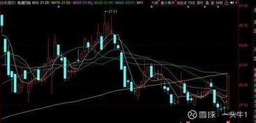 中国股市未来或可涨10倍的优质医药股名单